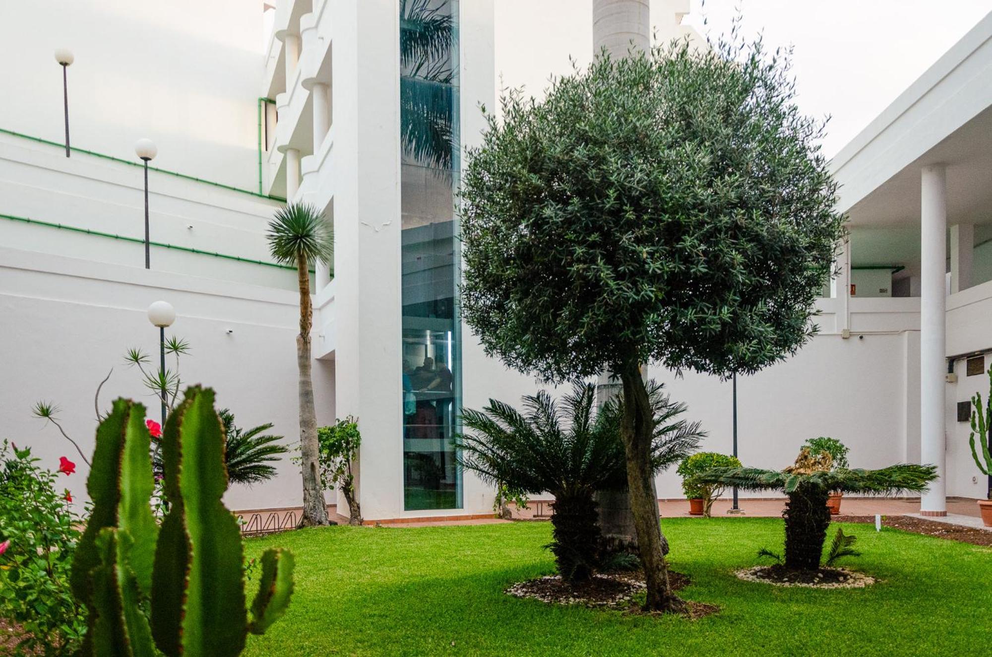 Island Village Paradise By Altamarhomes Costa Adeje  Buitenkant foto